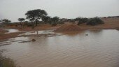 عاجل: أمطار غزيرة تتهاطل منذ الساعة على مناطق في الشرق الموريتانى